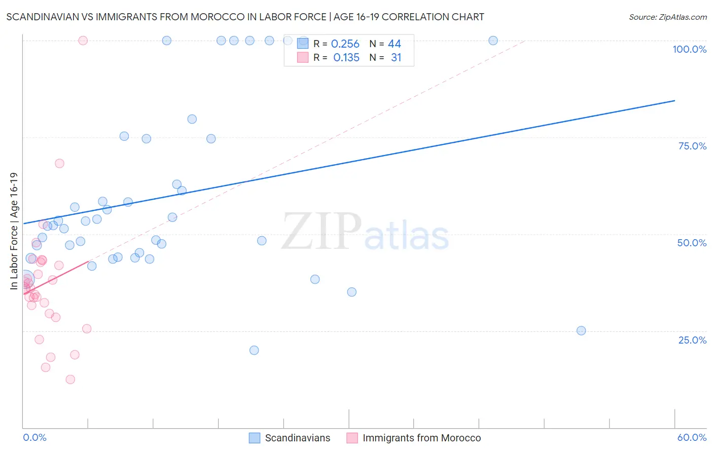 Scandinavian vs Immigrants from Morocco In Labor Force | Age 16-19