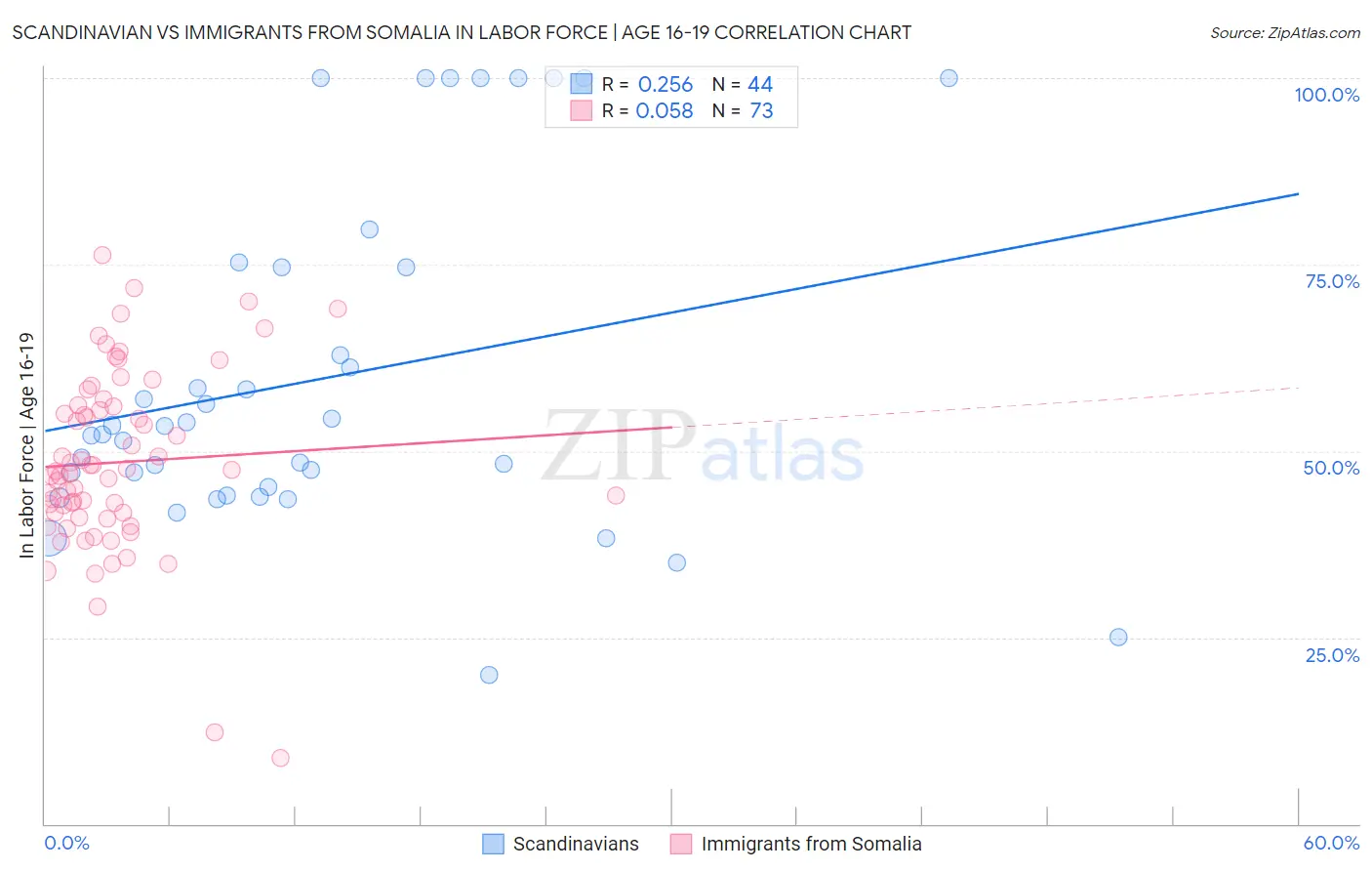 Scandinavian vs Immigrants from Somalia In Labor Force | Age 16-19