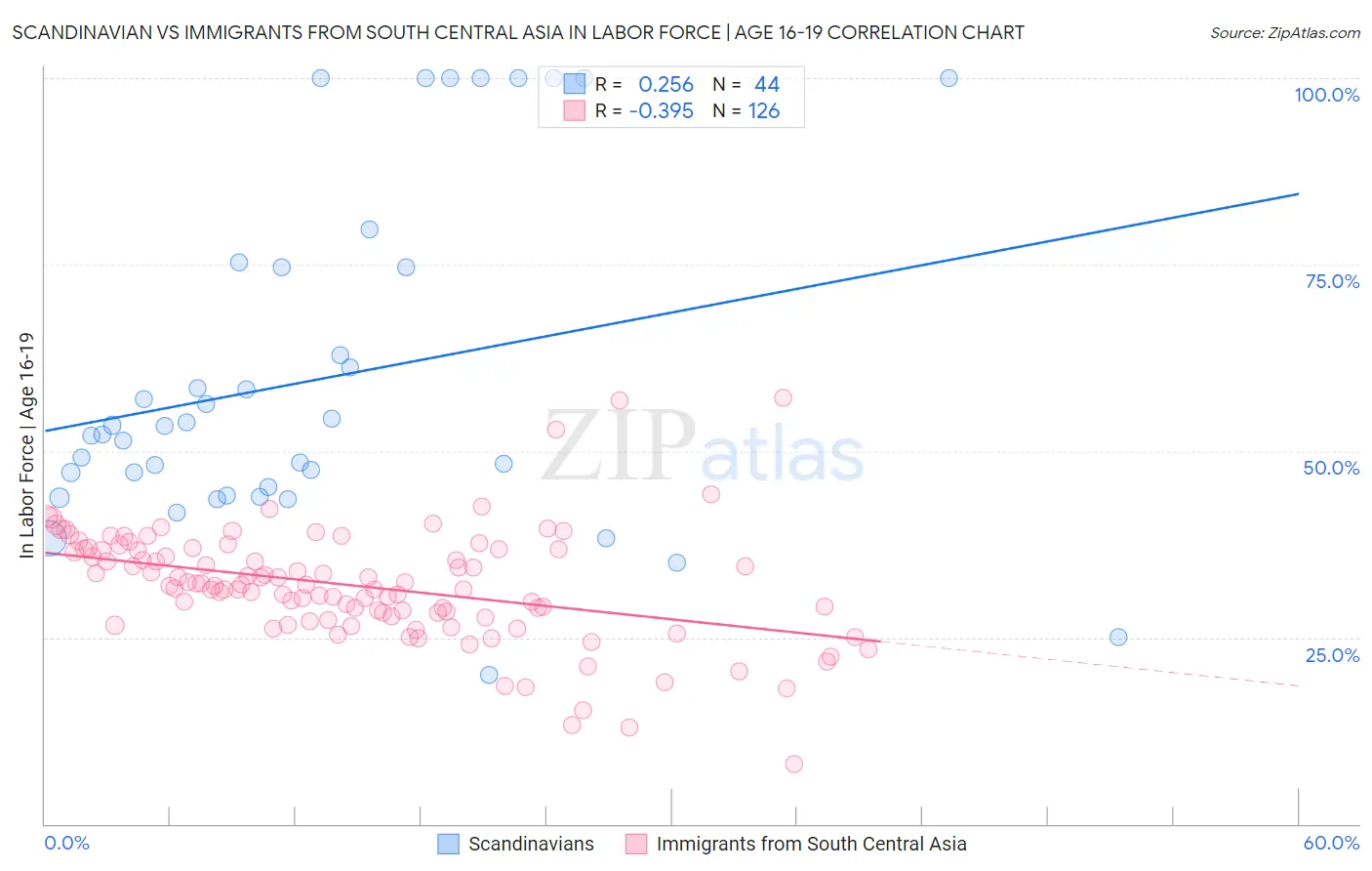Scandinavian vs Immigrants from South Central Asia In Labor Force | Age 16-19