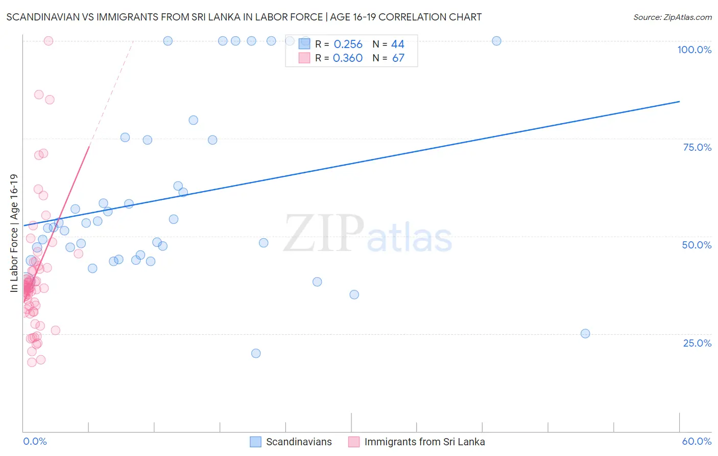 Scandinavian vs Immigrants from Sri Lanka In Labor Force | Age 16-19