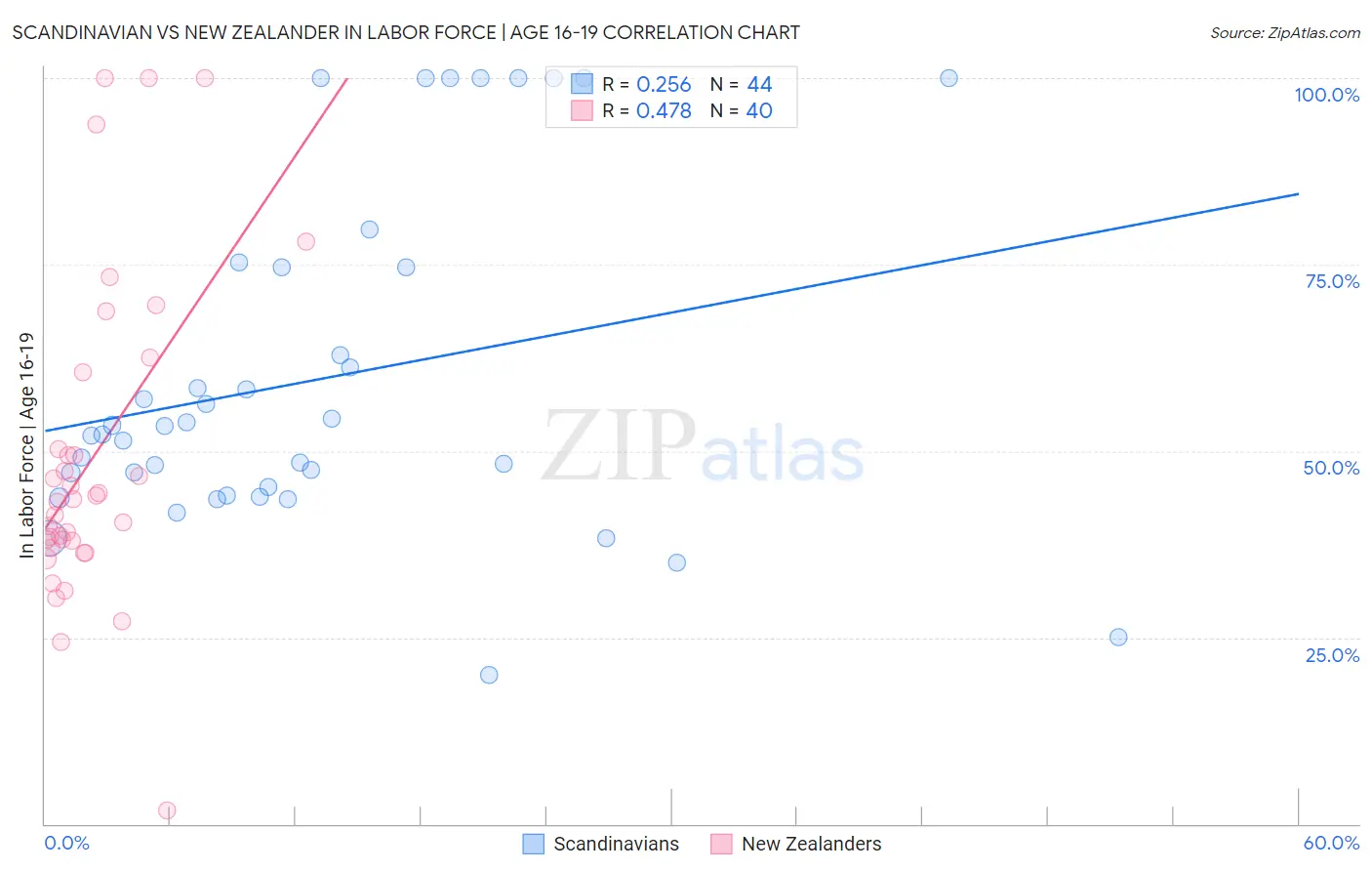 Scandinavian vs New Zealander In Labor Force | Age 16-19