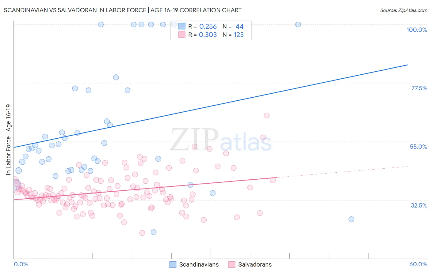 Scandinavian vs Salvadoran In Labor Force | Age 16-19