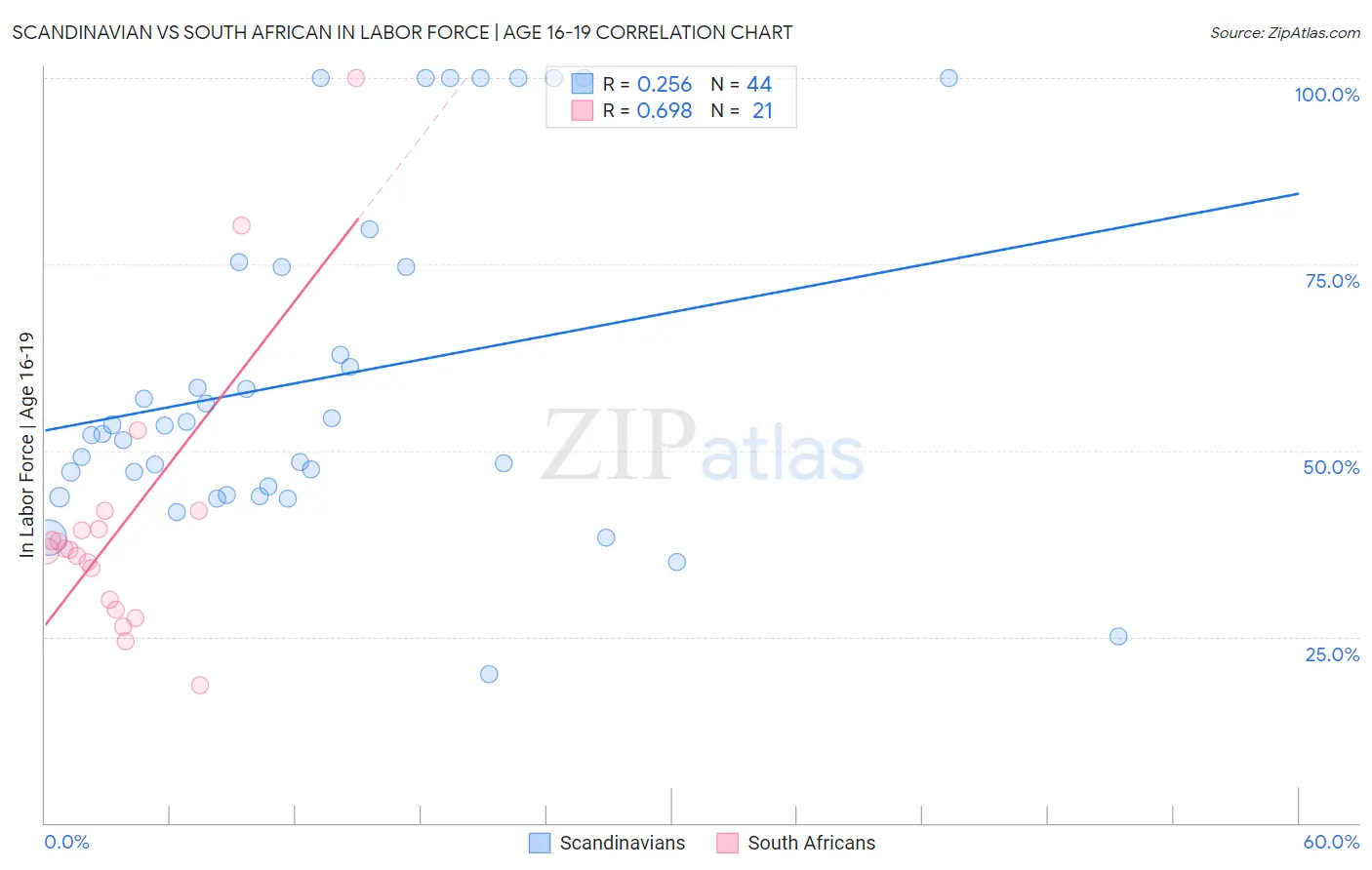 Scandinavian vs South African In Labor Force | Age 16-19
