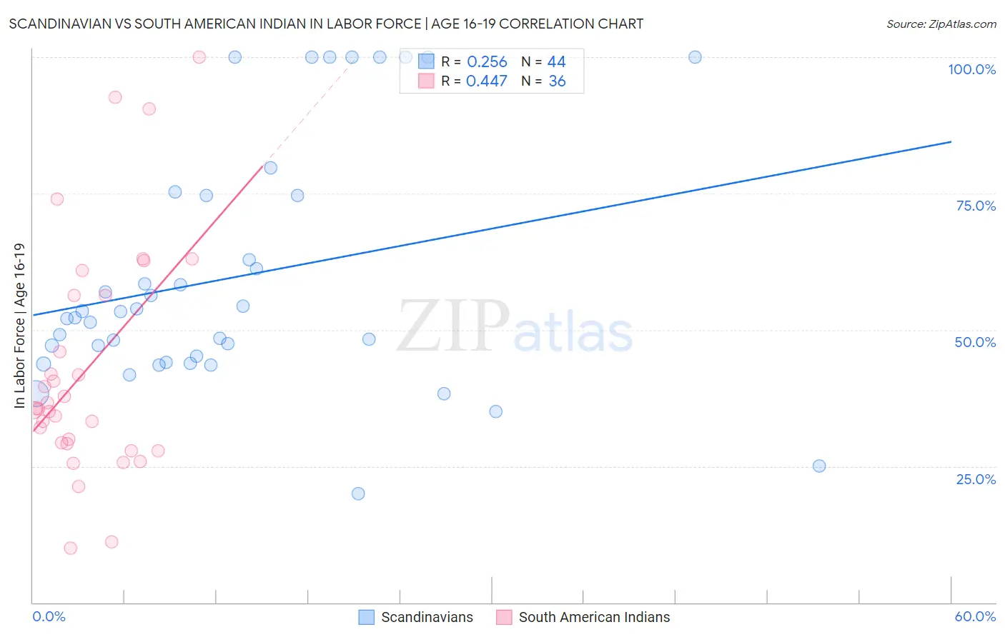 Scandinavian vs South American Indian In Labor Force | Age 16-19
