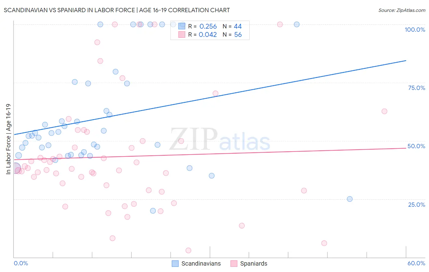 Scandinavian vs Spaniard In Labor Force | Age 16-19