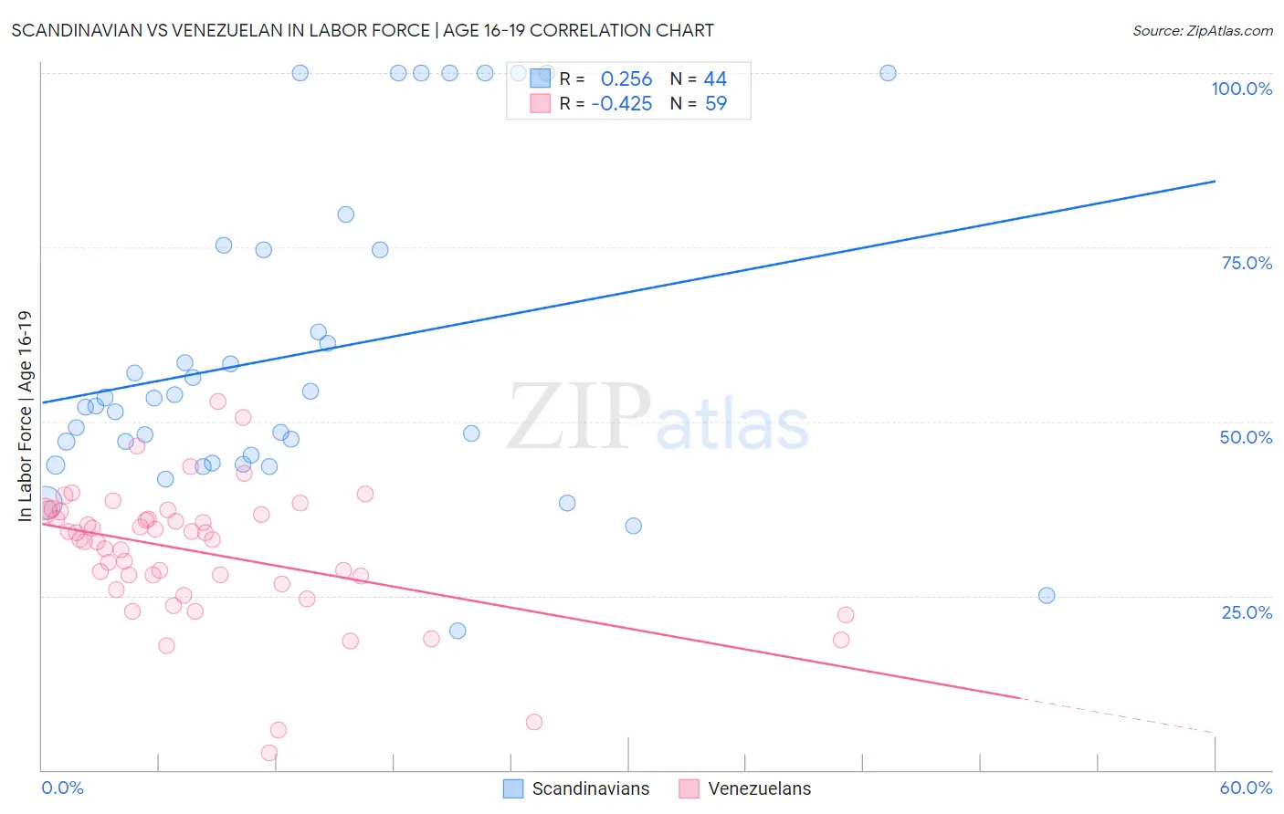 Scandinavian vs Venezuelan In Labor Force | Age 16-19