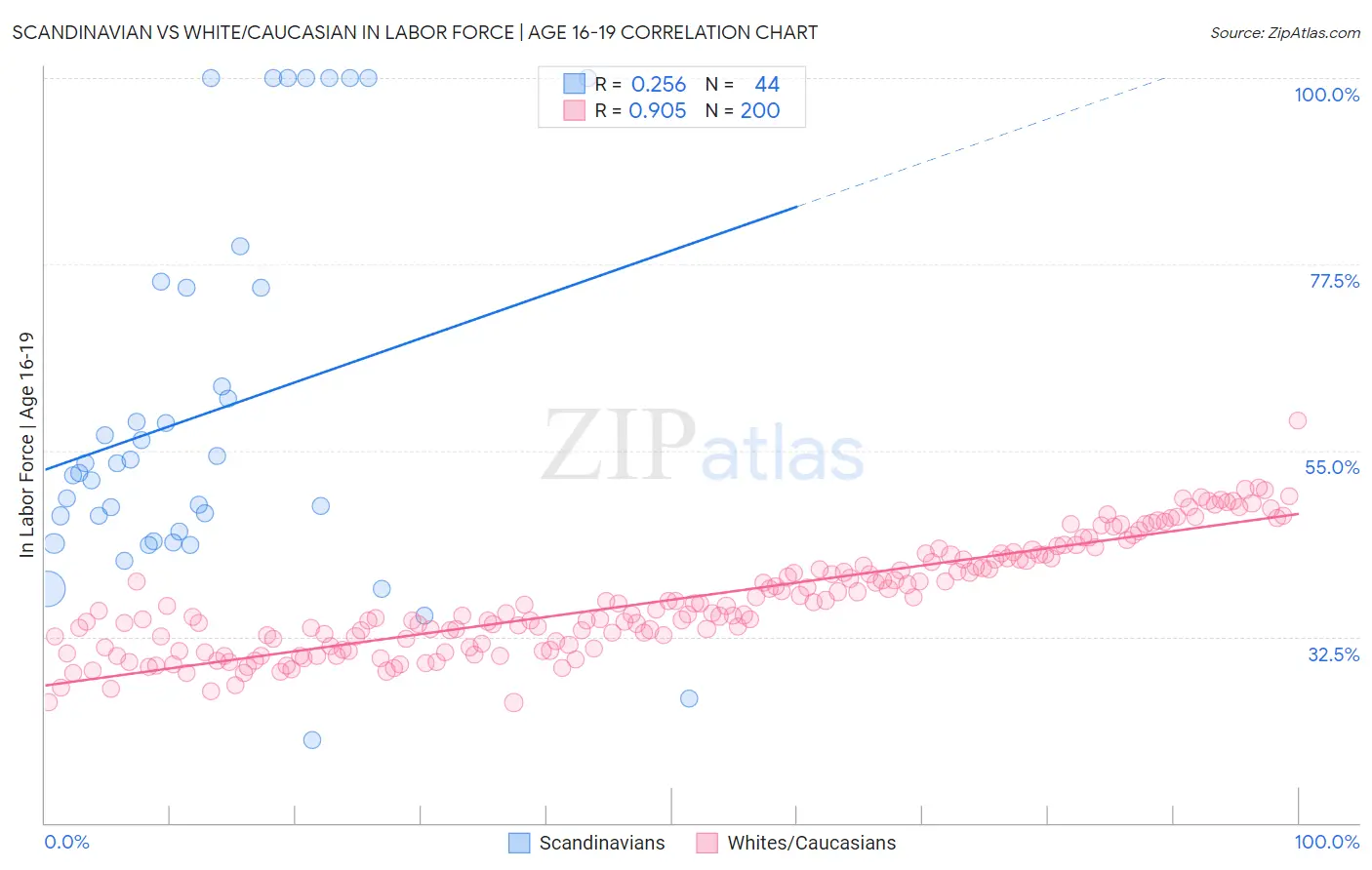 Scandinavian vs White/Caucasian In Labor Force | Age 16-19