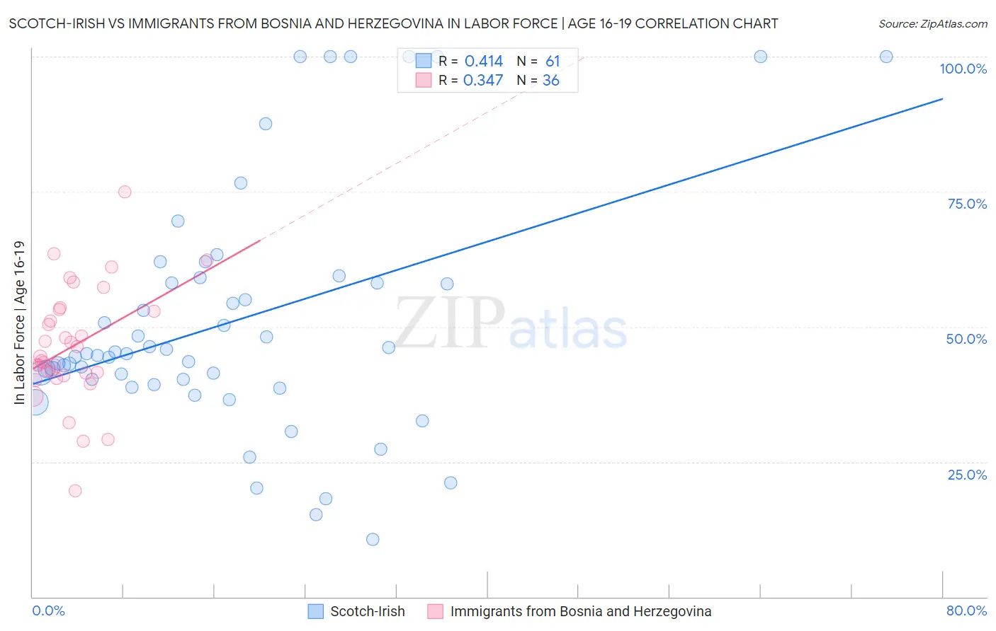 Scotch-Irish vs Immigrants from Bosnia and Herzegovina In Labor Force | Age 16-19