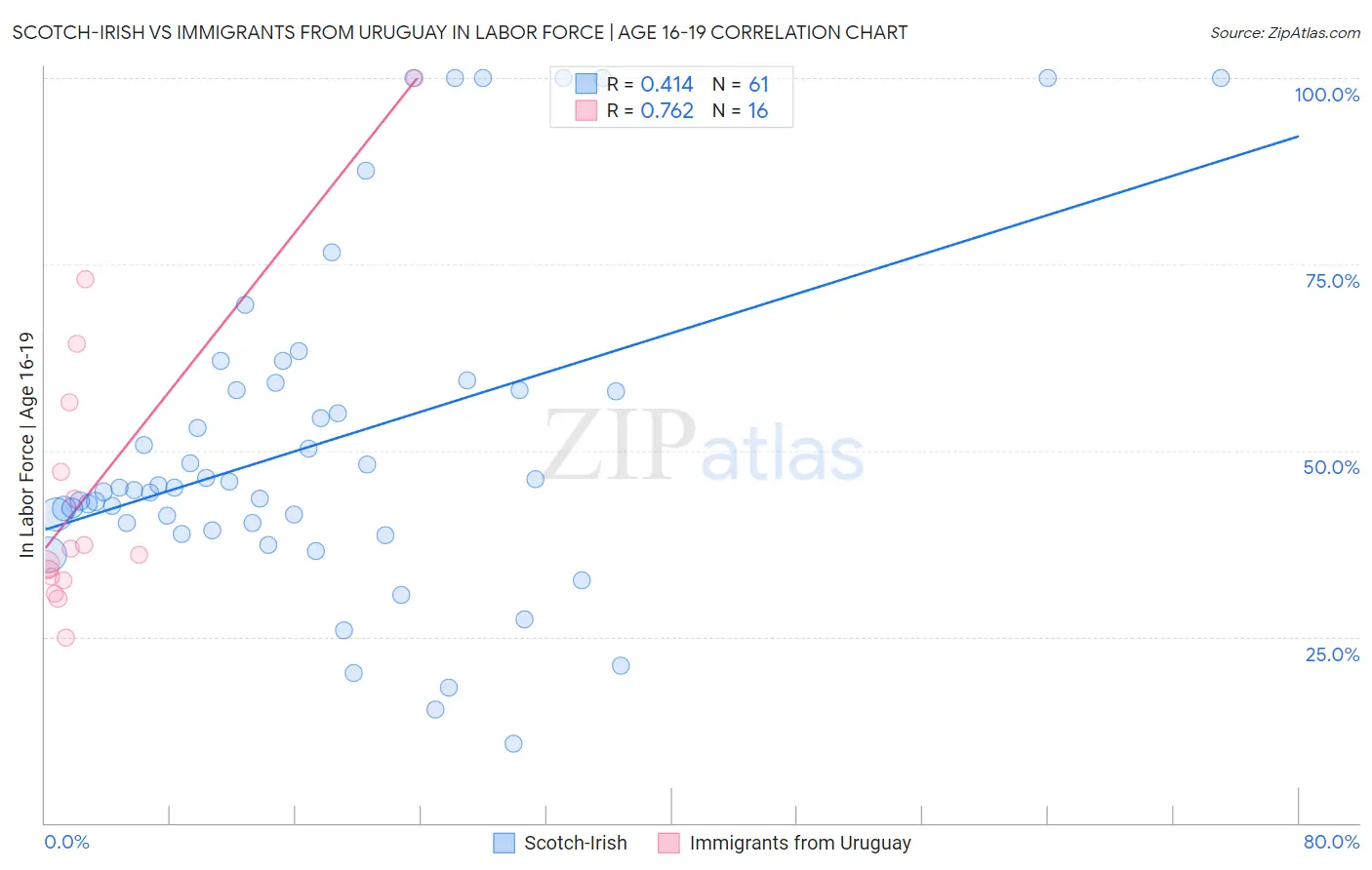 Scotch-Irish vs Immigrants from Uruguay In Labor Force | Age 16-19
