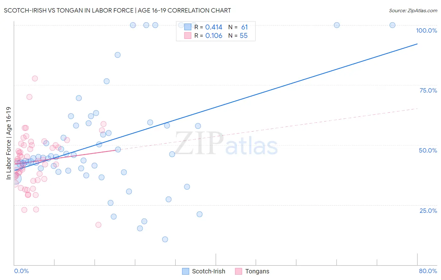 Scotch-Irish vs Tongan In Labor Force | Age 16-19