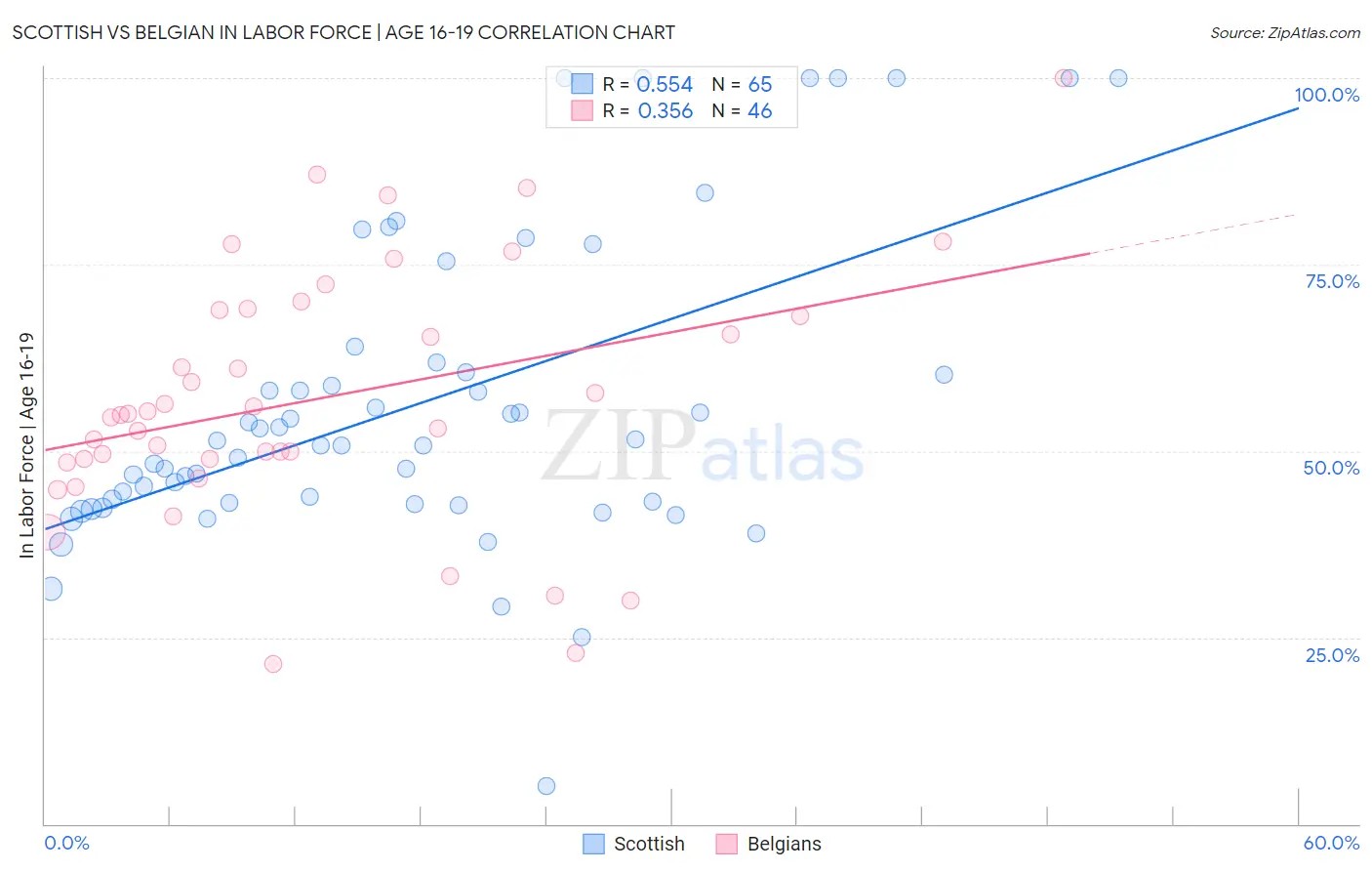 Scottish vs Belgian In Labor Force | Age 16-19