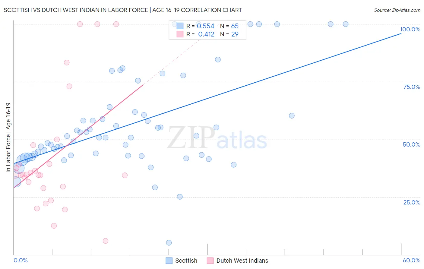 Scottish vs Dutch West Indian In Labor Force | Age 16-19