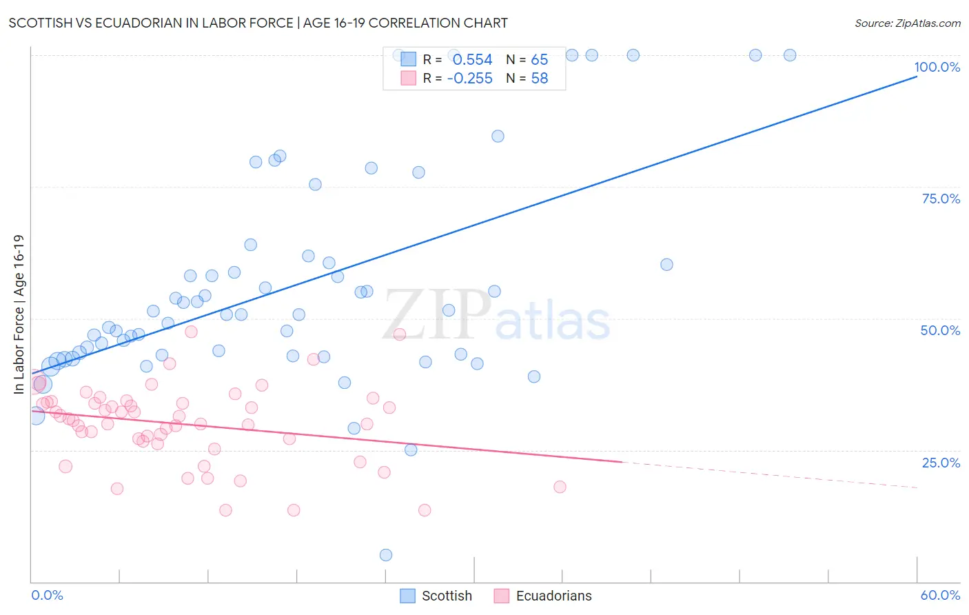 Scottish vs Ecuadorian In Labor Force | Age 16-19