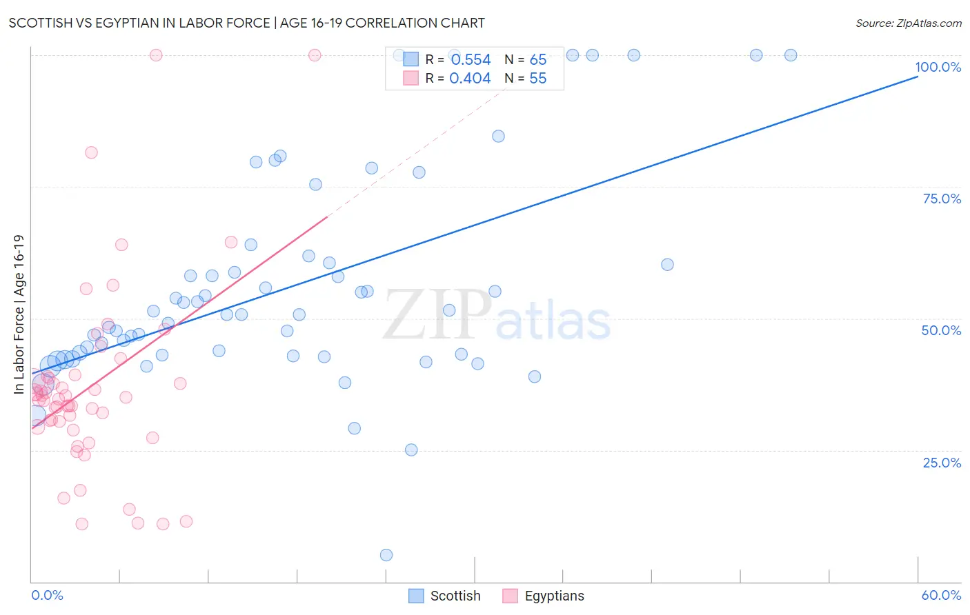 Scottish vs Egyptian In Labor Force | Age 16-19