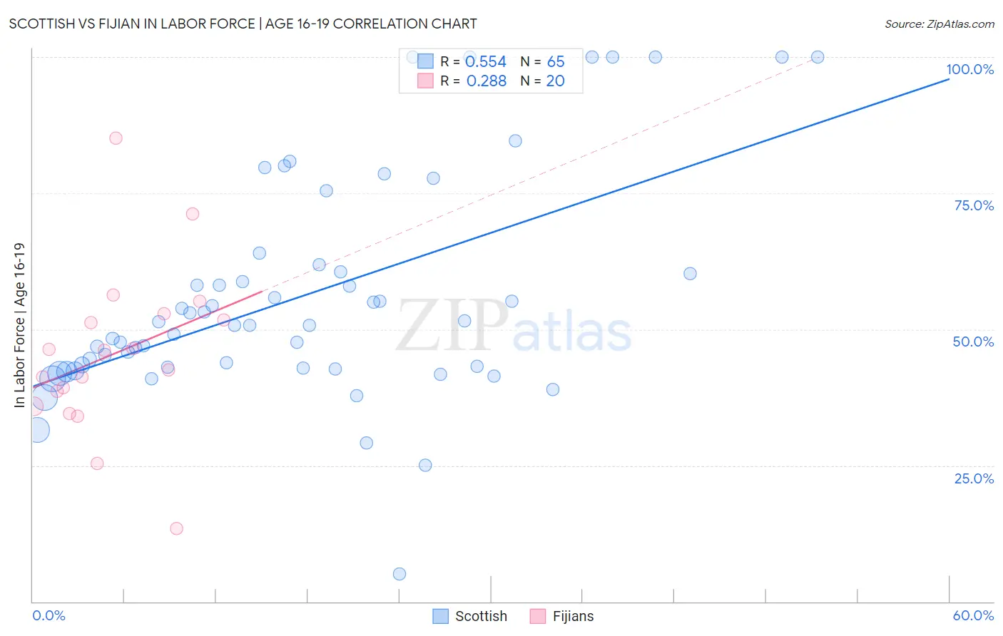 Scottish vs Fijian In Labor Force | Age 16-19