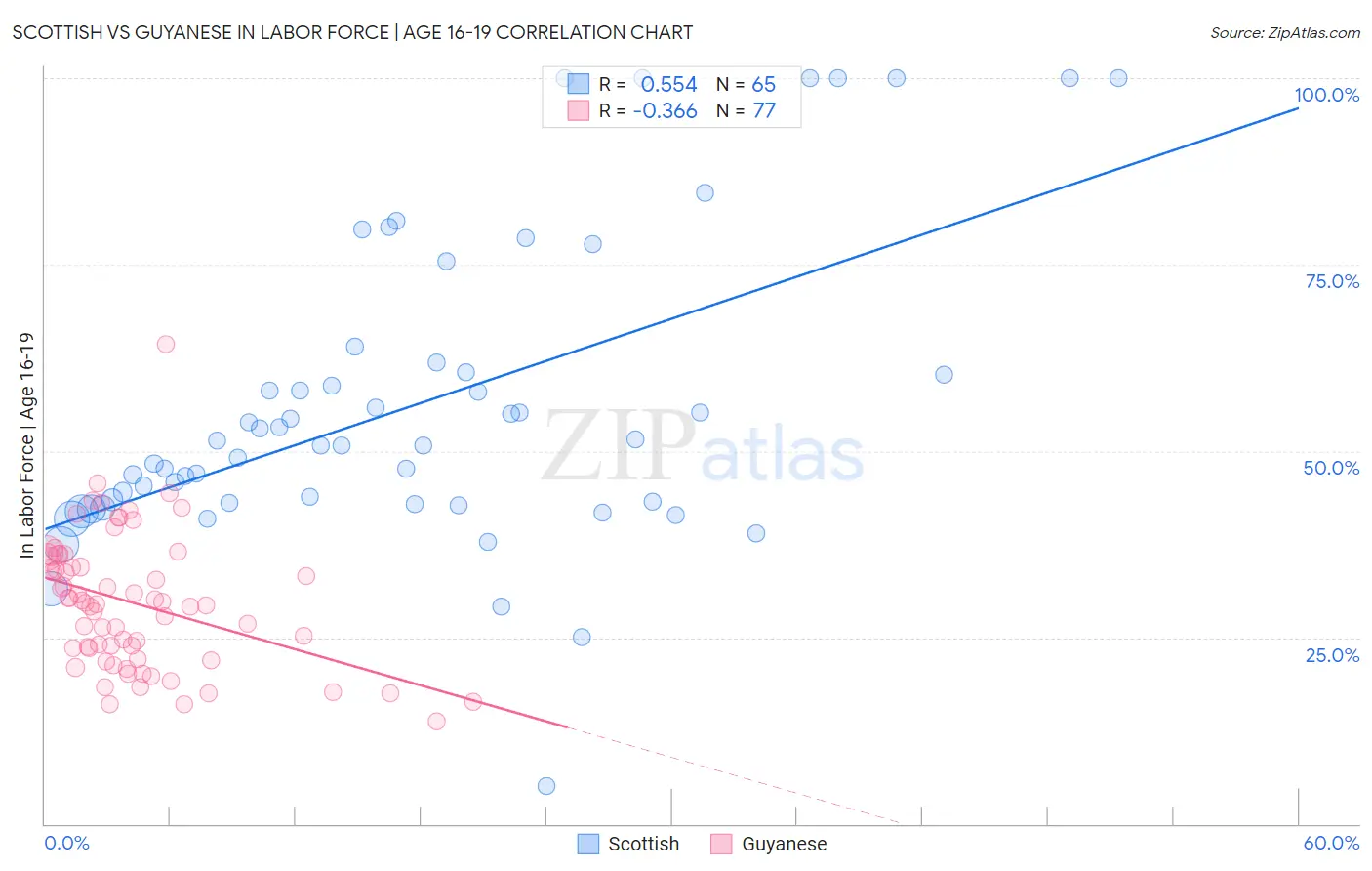 Scottish vs Guyanese In Labor Force | Age 16-19