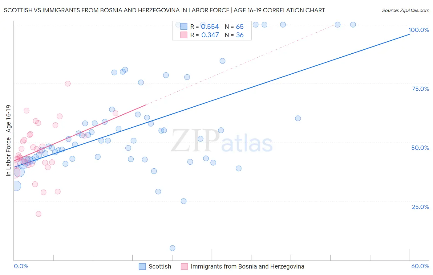 Scottish vs Immigrants from Bosnia and Herzegovina In Labor Force | Age 16-19