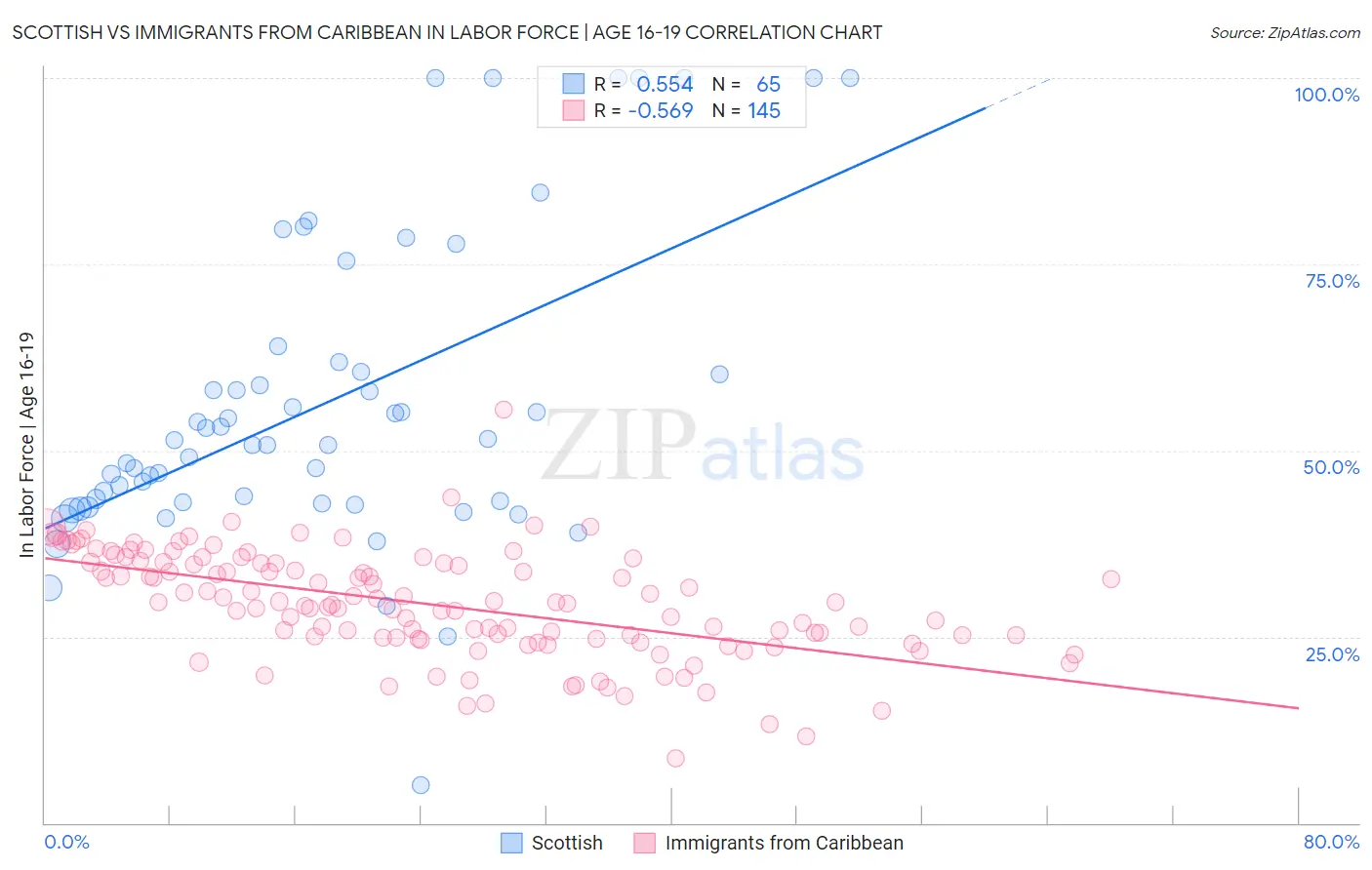 Scottish vs Immigrants from Caribbean In Labor Force | Age 16-19
