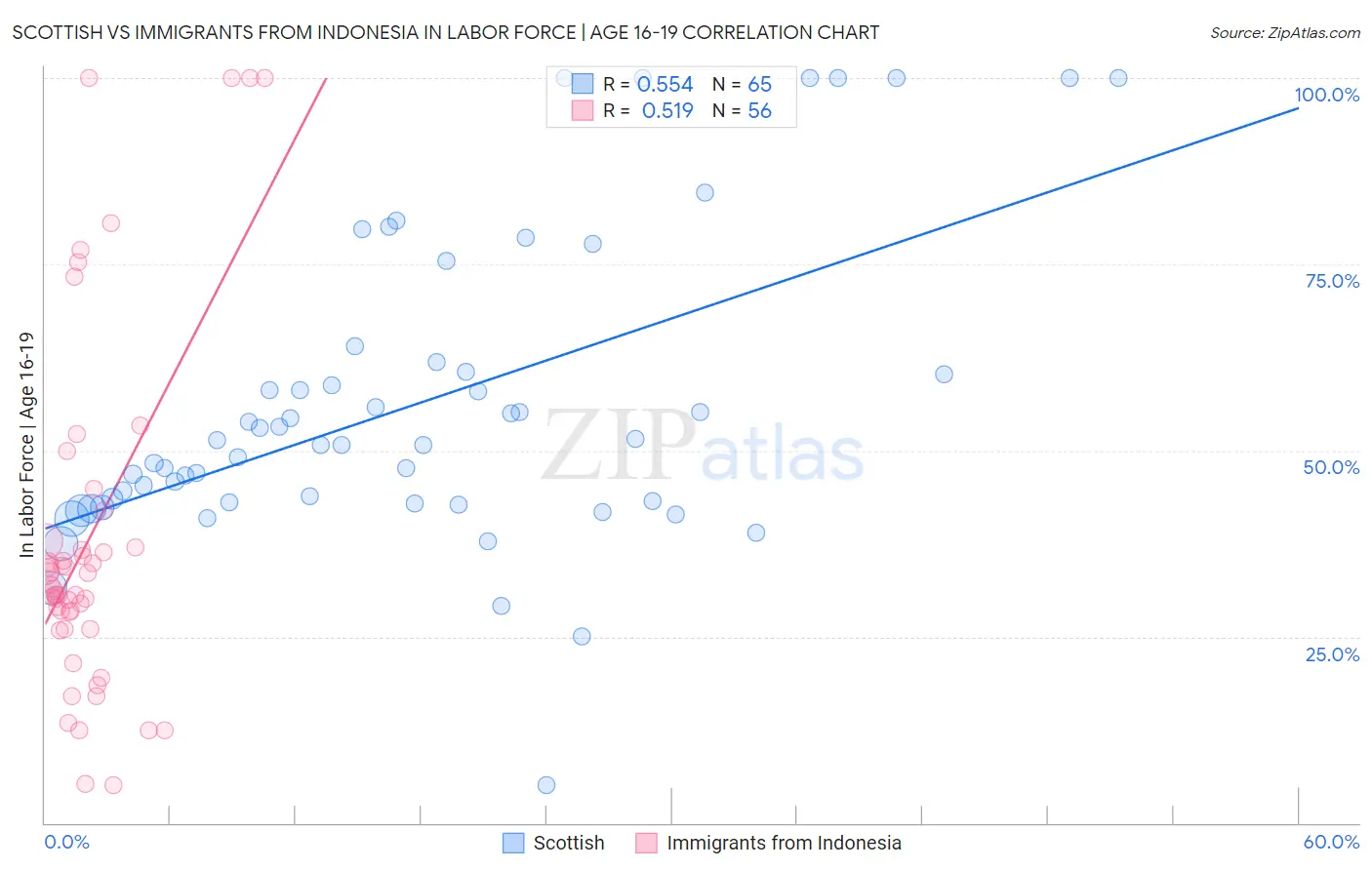 Scottish vs Immigrants from Indonesia In Labor Force | Age 16-19