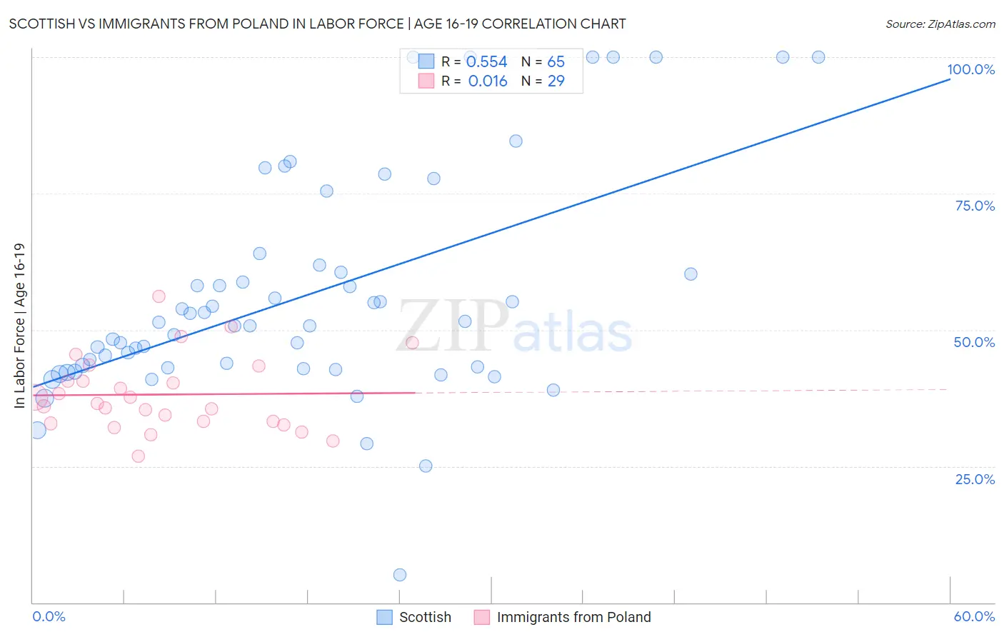 Scottish vs Immigrants from Poland In Labor Force | Age 16-19