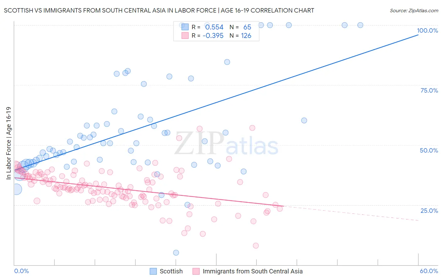 Scottish vs Immigrants from South Central Asia In Labor Force | Age 16-19
