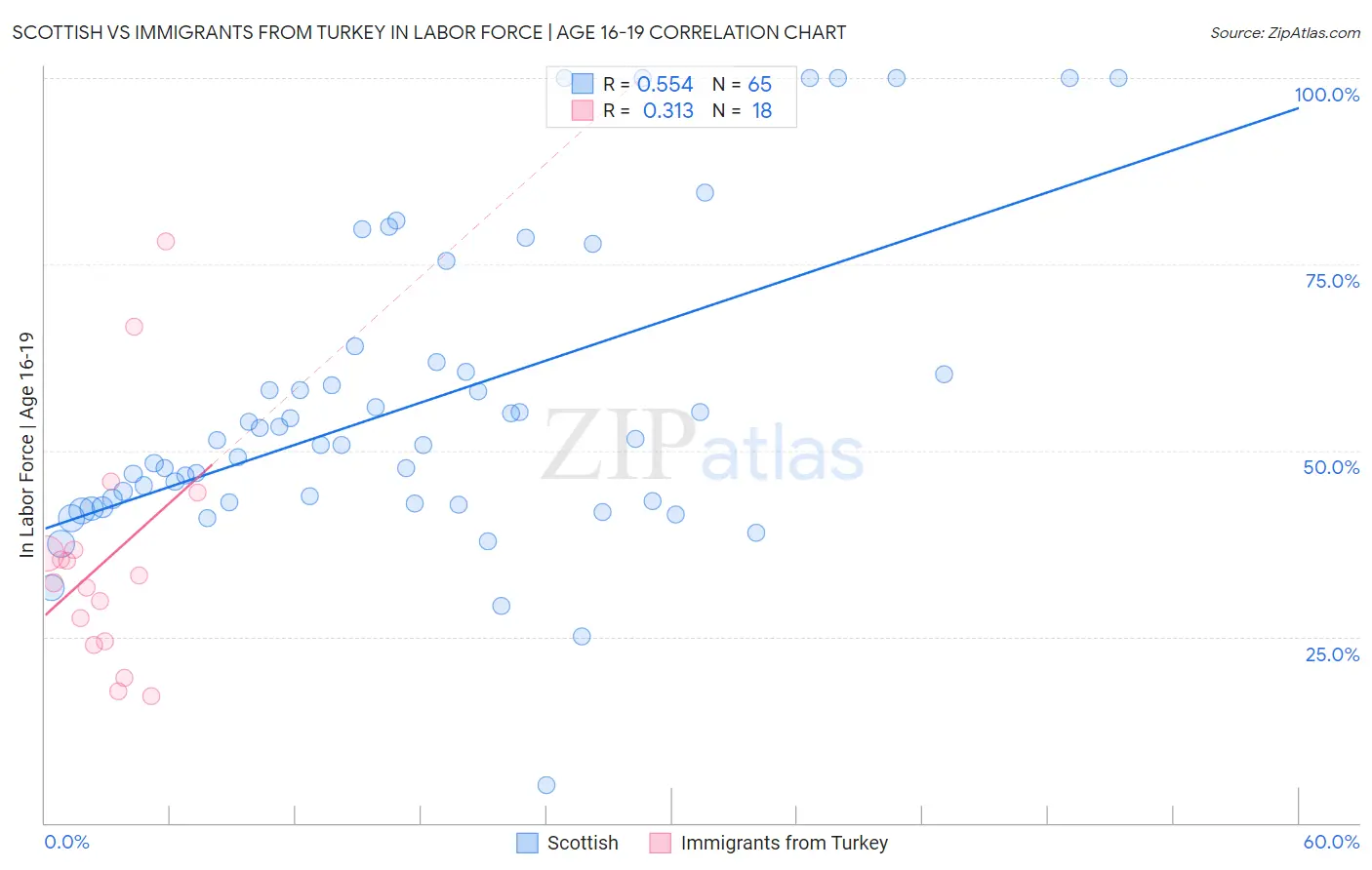 Scottish vs Immigrants from Turkey In Labor Force | Age 16-19