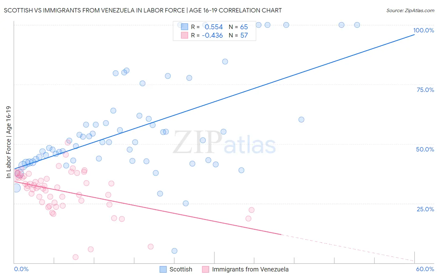 Scottish vs Immigrants from Venezuela In Labor Force | Age 16-19