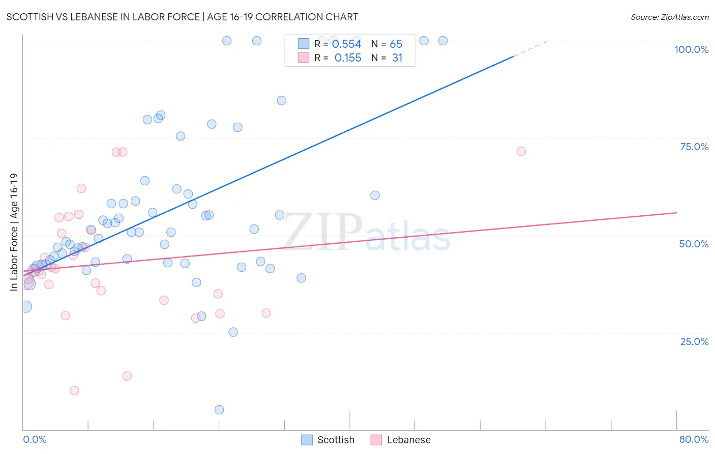 Scottish vs Lebanese In Labor Force | Age 16-19