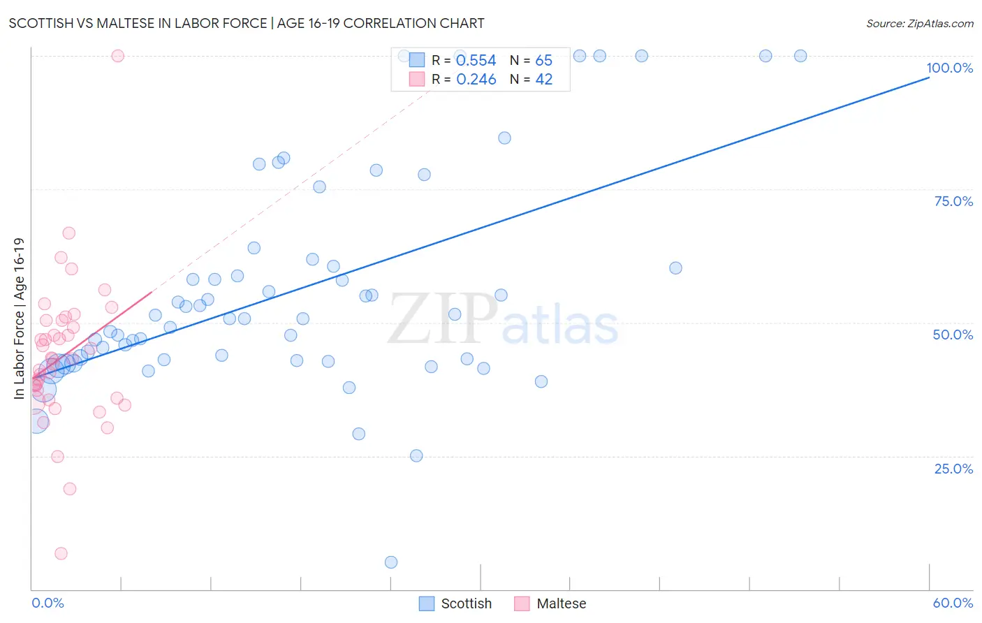 Scottish vs Maltese In Labor Force | Age 16-19