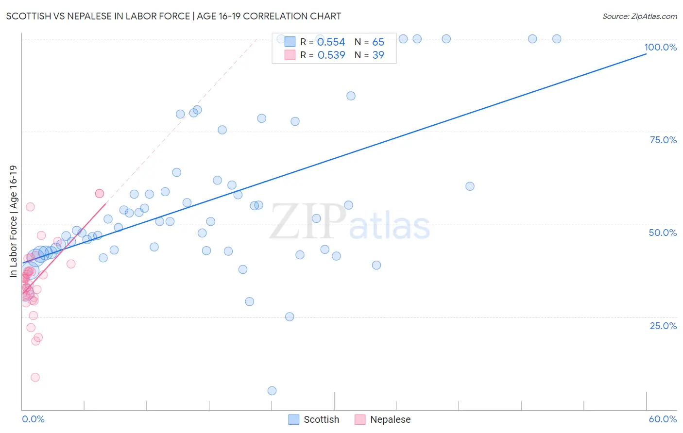 Scottish vs Nepalese In Labor Force | Age 16-19