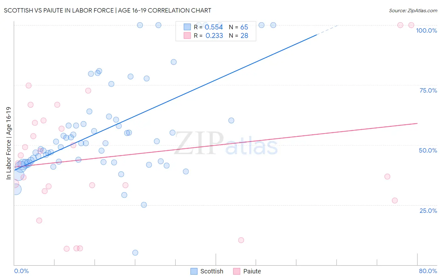 Scottish vs Paiute In Labor Force | Age 16-19
