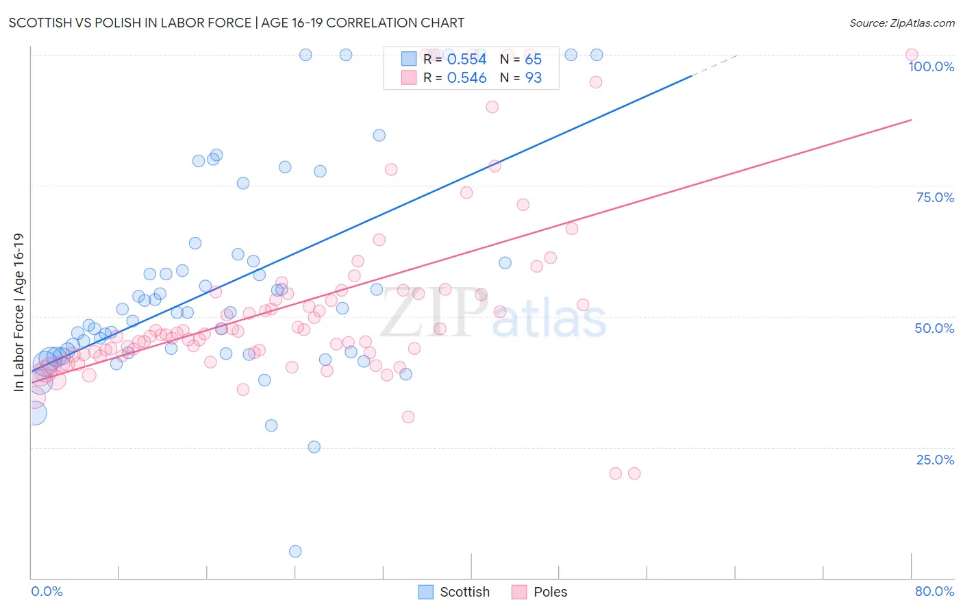 Scottish vs Polish In Labor Force | Age 16-19