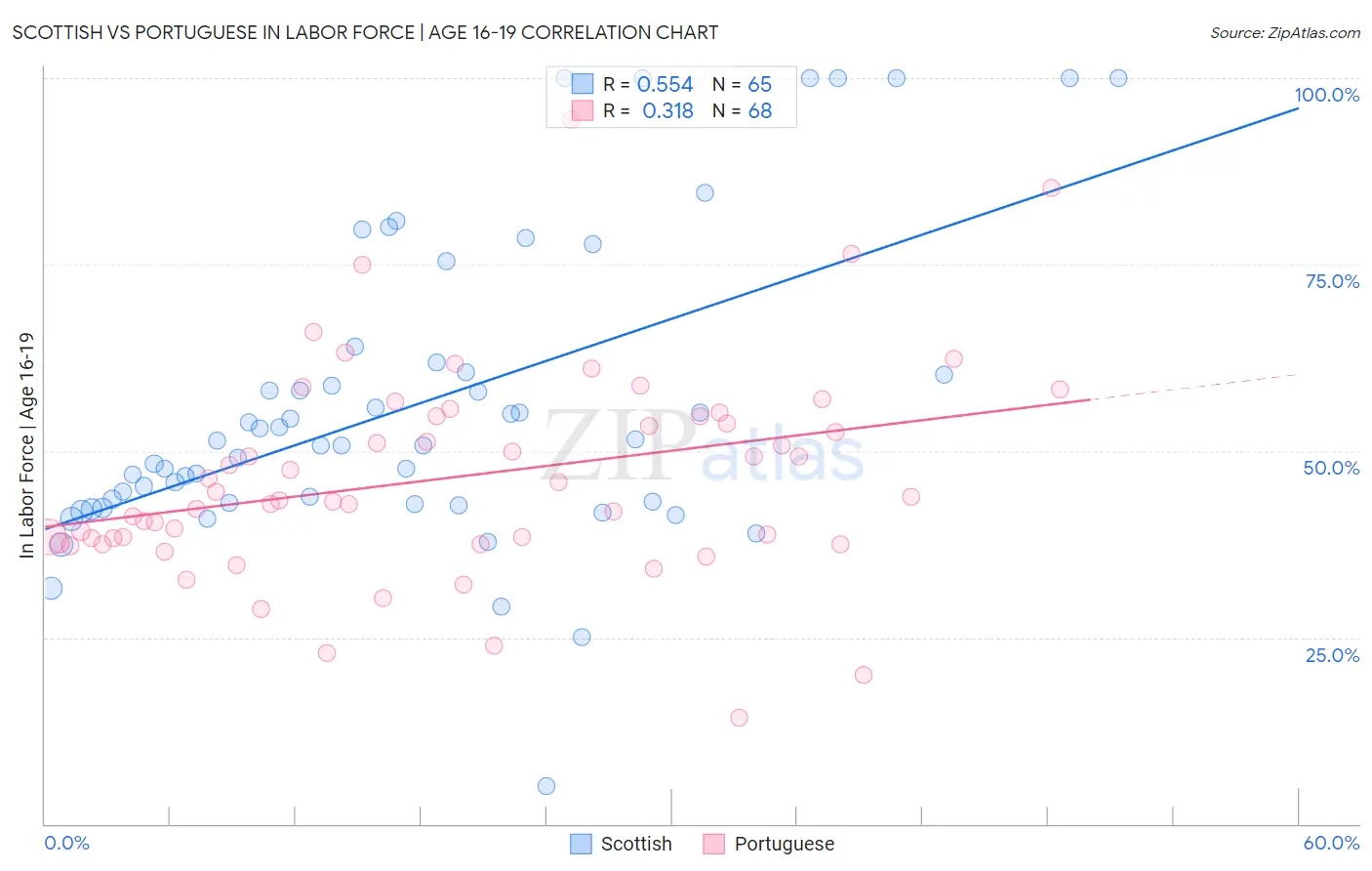 Scottish vs Portuguese In Labor Force | Age 16-19