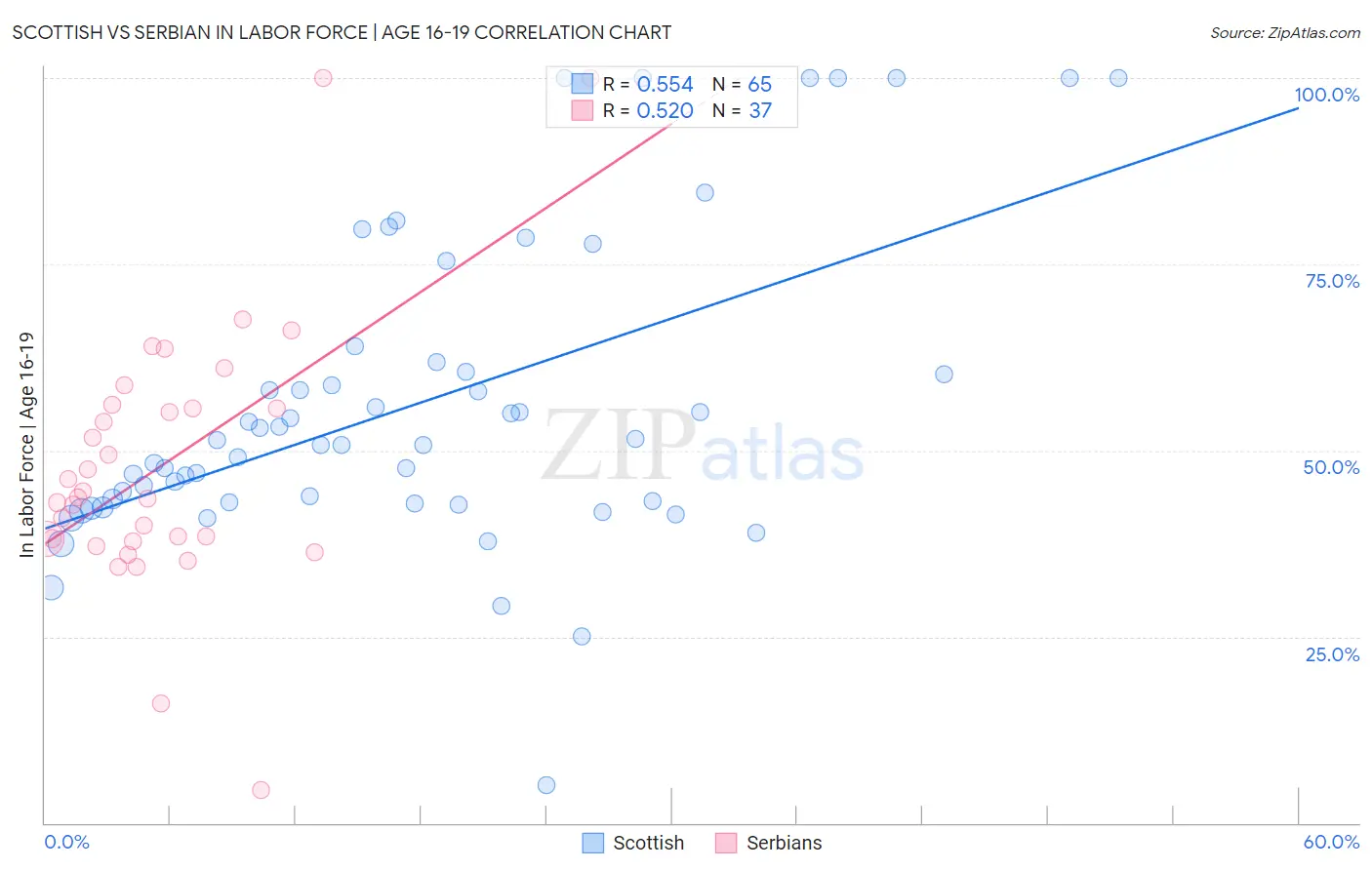 Scottish vs Serbian In Labor Force | Age 16-19