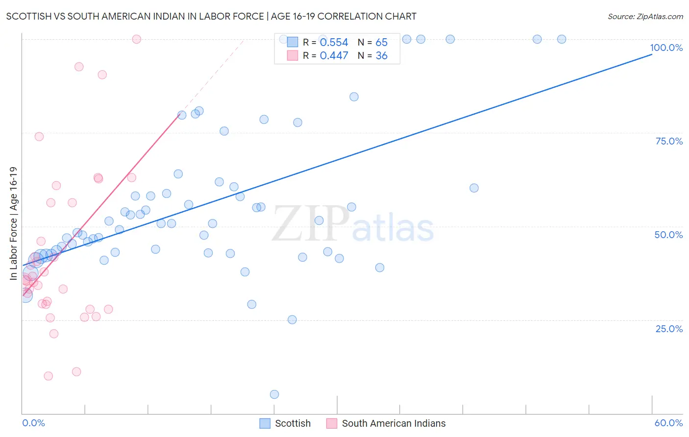 Scottish vs South American Indian In Labor Force | Age 16-19