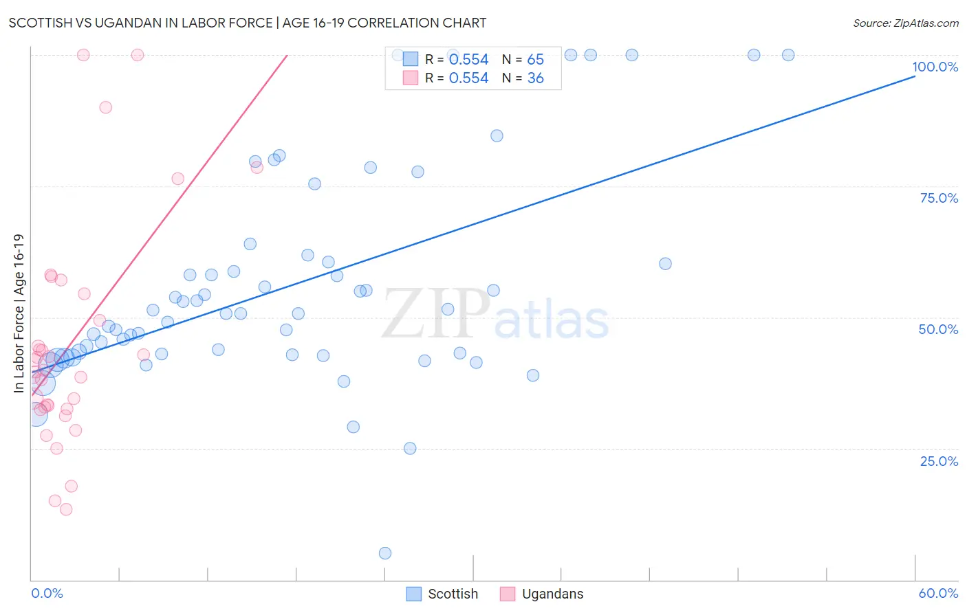 Scottish vs Ugandan In Labor Force | Age 16-19