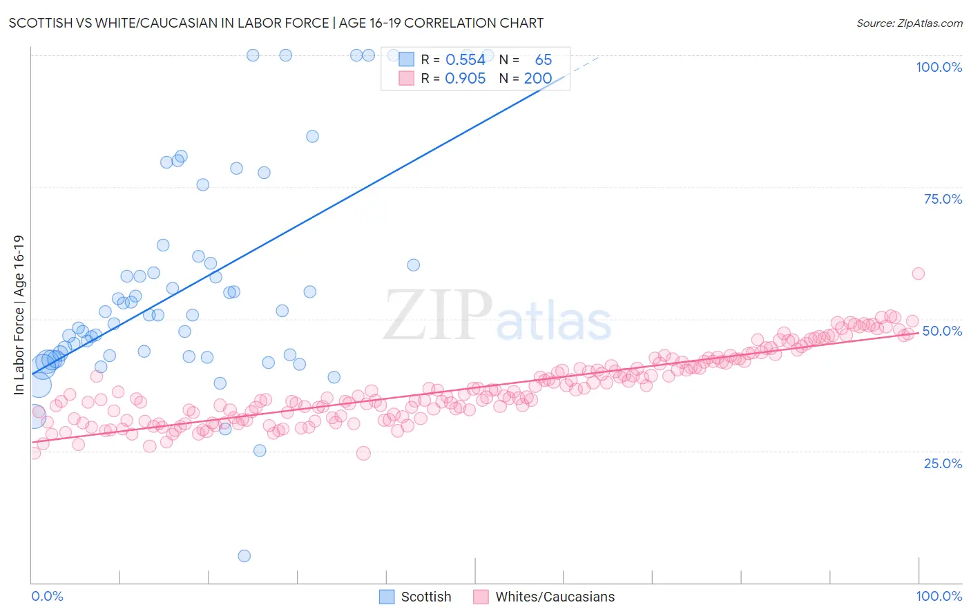 Scottish vs White/Caucasian In Labor Force | Age 16-19