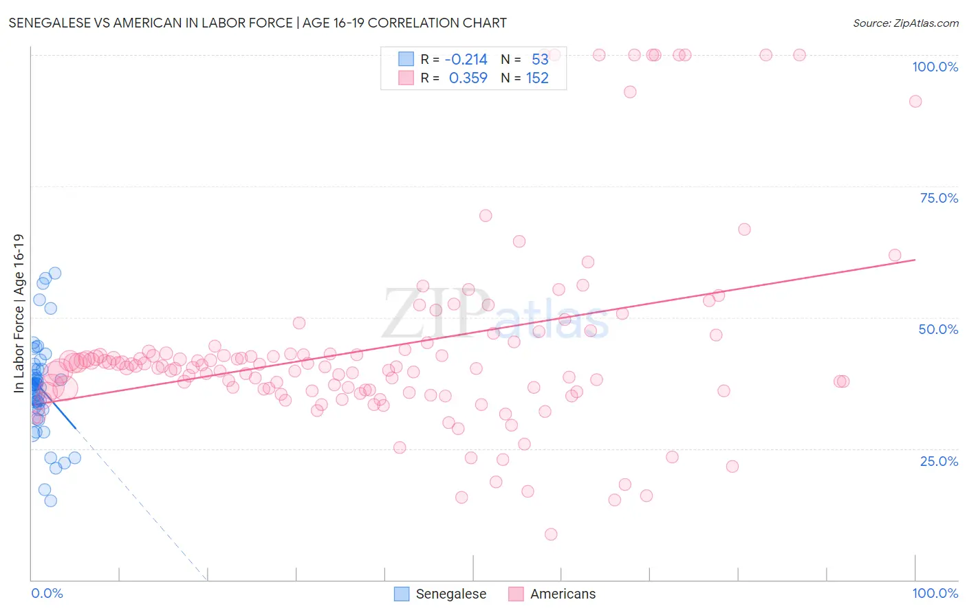 Senegalese vs American In Labor Force | Age 16-19