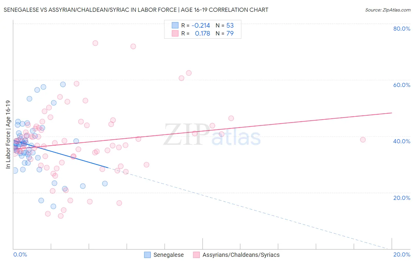 Senegalese vs Assyrian/Chaldean/Syriac In Labor Force | Age 16-19