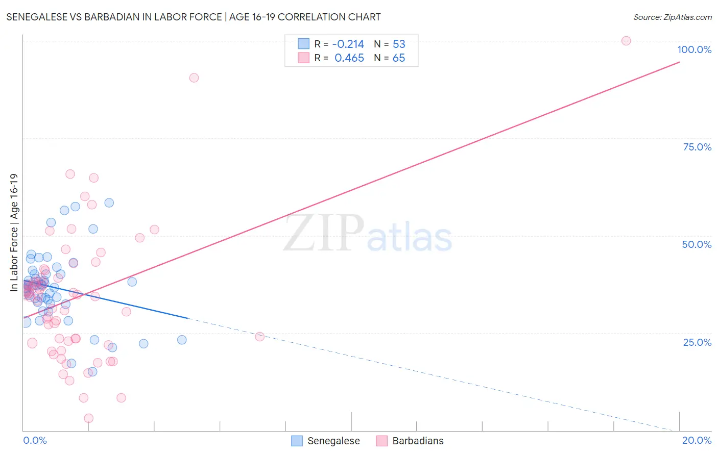 Senegalese vs Barbadian In Labor Force | Age 16-19