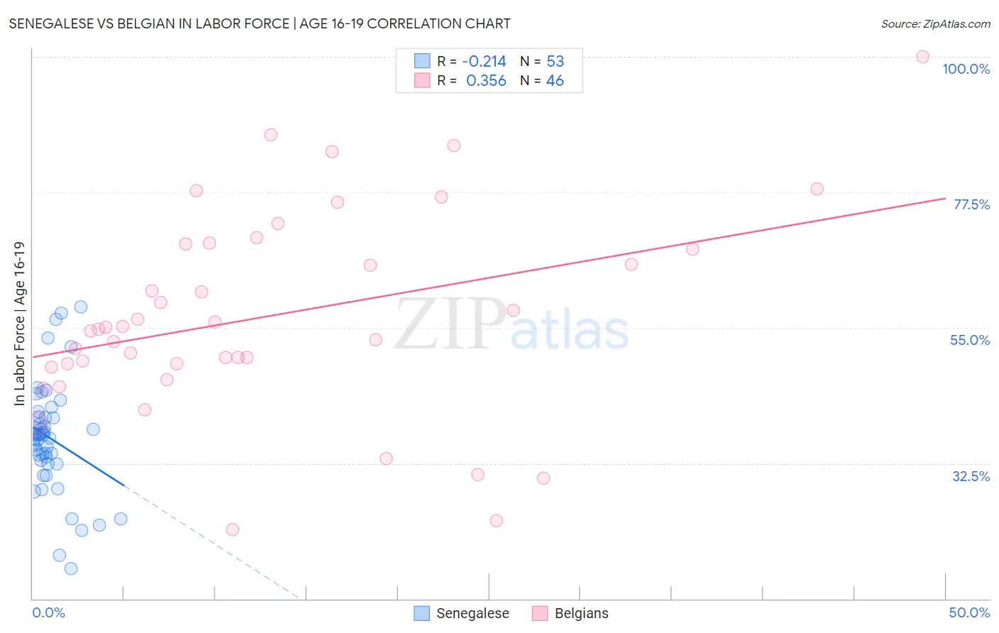 Senegalese vs Belgian In Labor Force | Age 16-19
