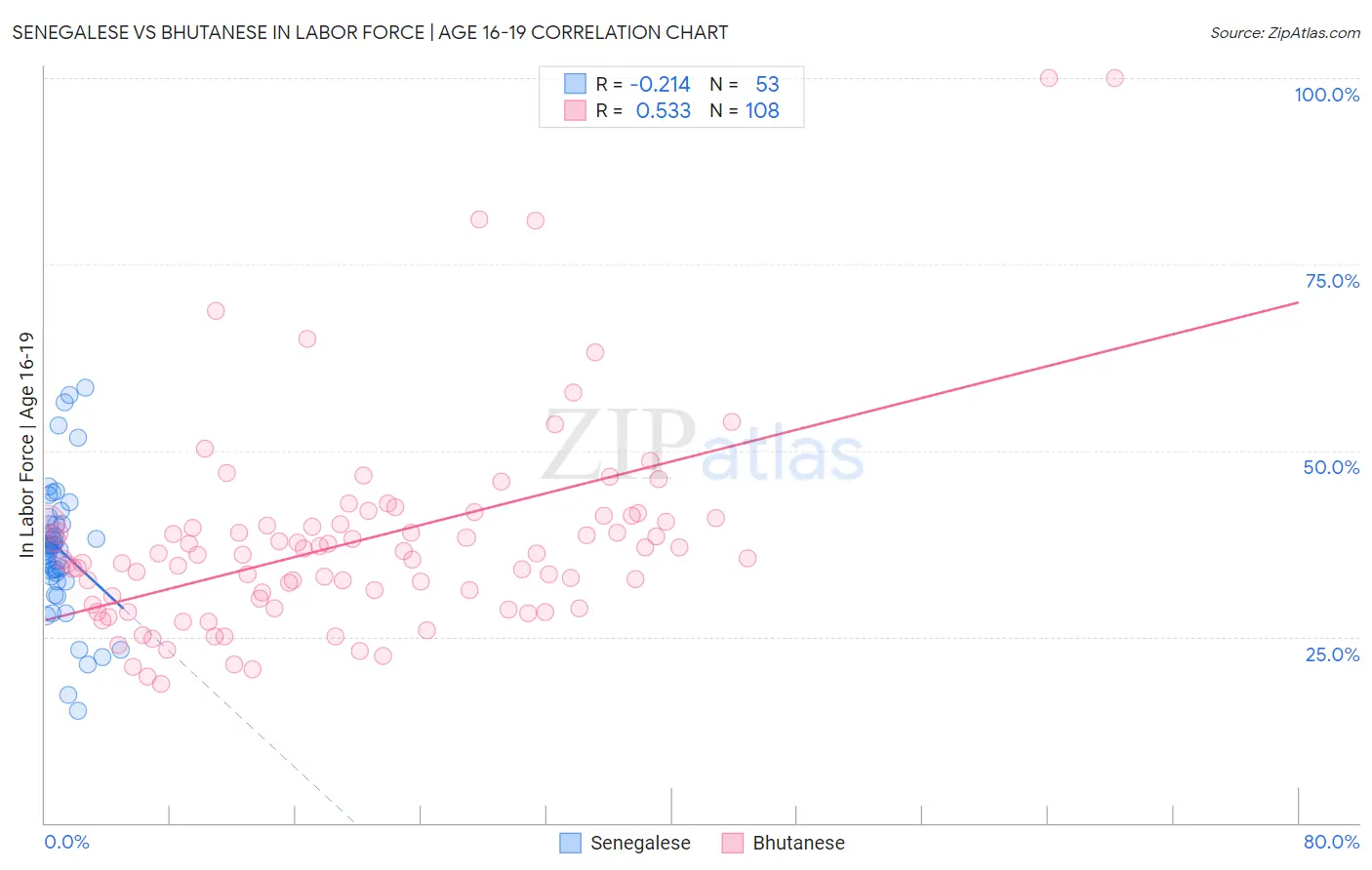 Senegalese vs Bhutanese In Labor Force | Age 16-19