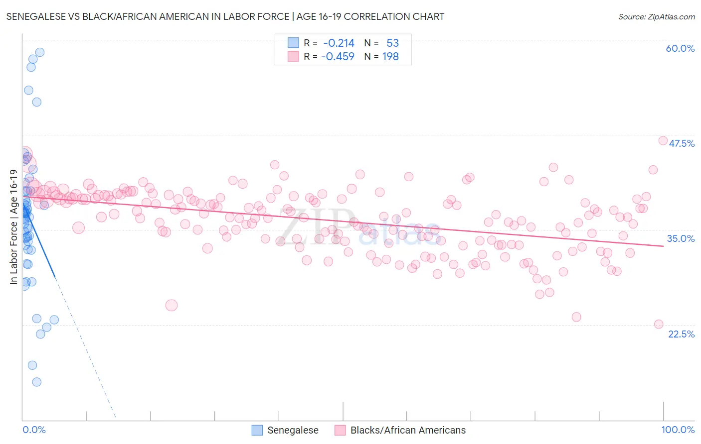 Senegalese vs Black/African American In Labor Force | Age 16-19