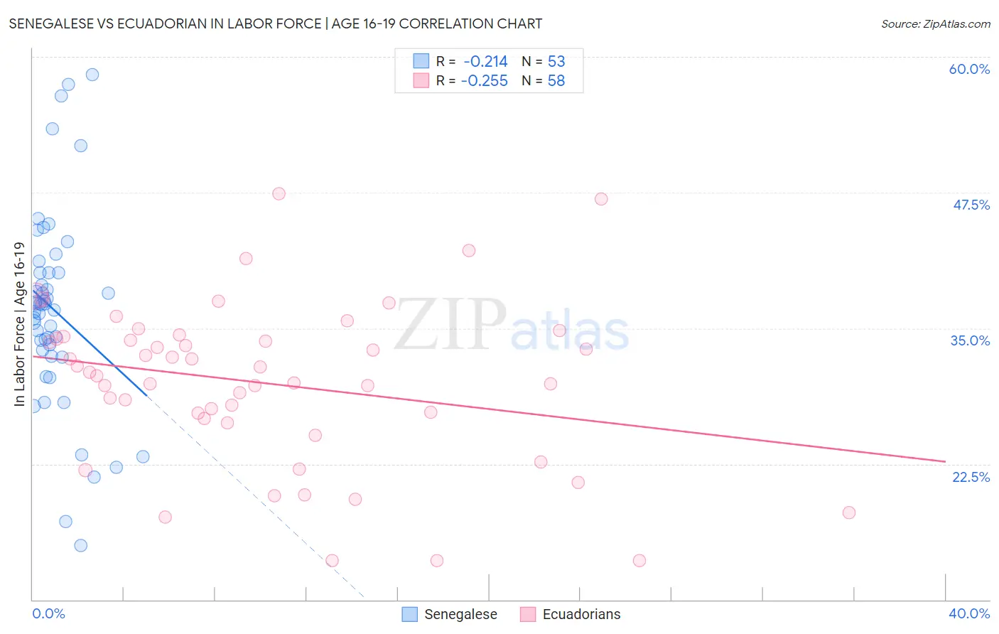 Senegalese vs Ecuadorian In Labor Force | Age 16-19