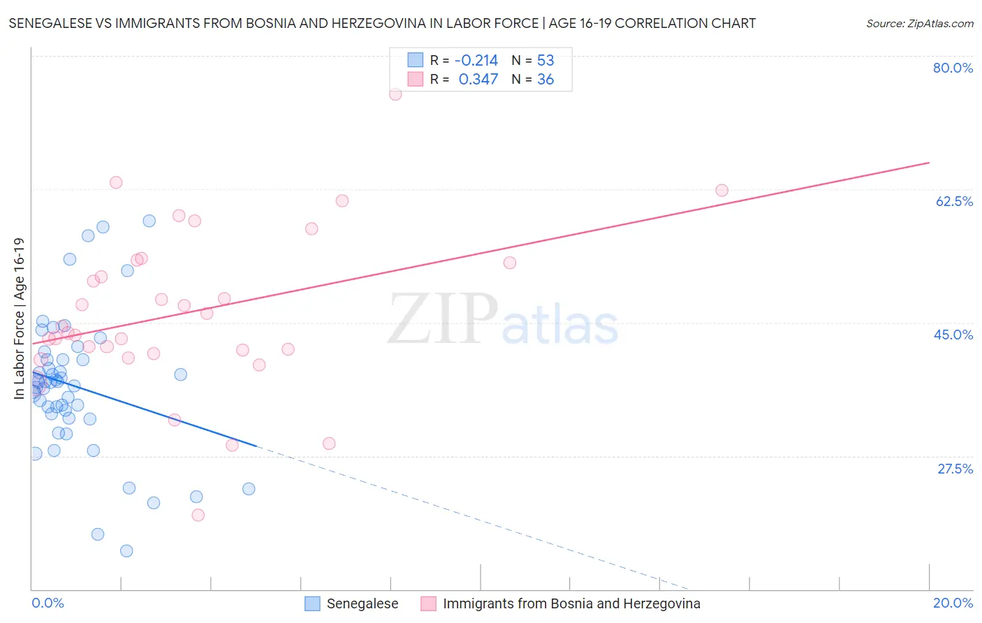 Senegalese vs Immigrants from Bosnia and Herzegovina In Labor Force | Age 16-19