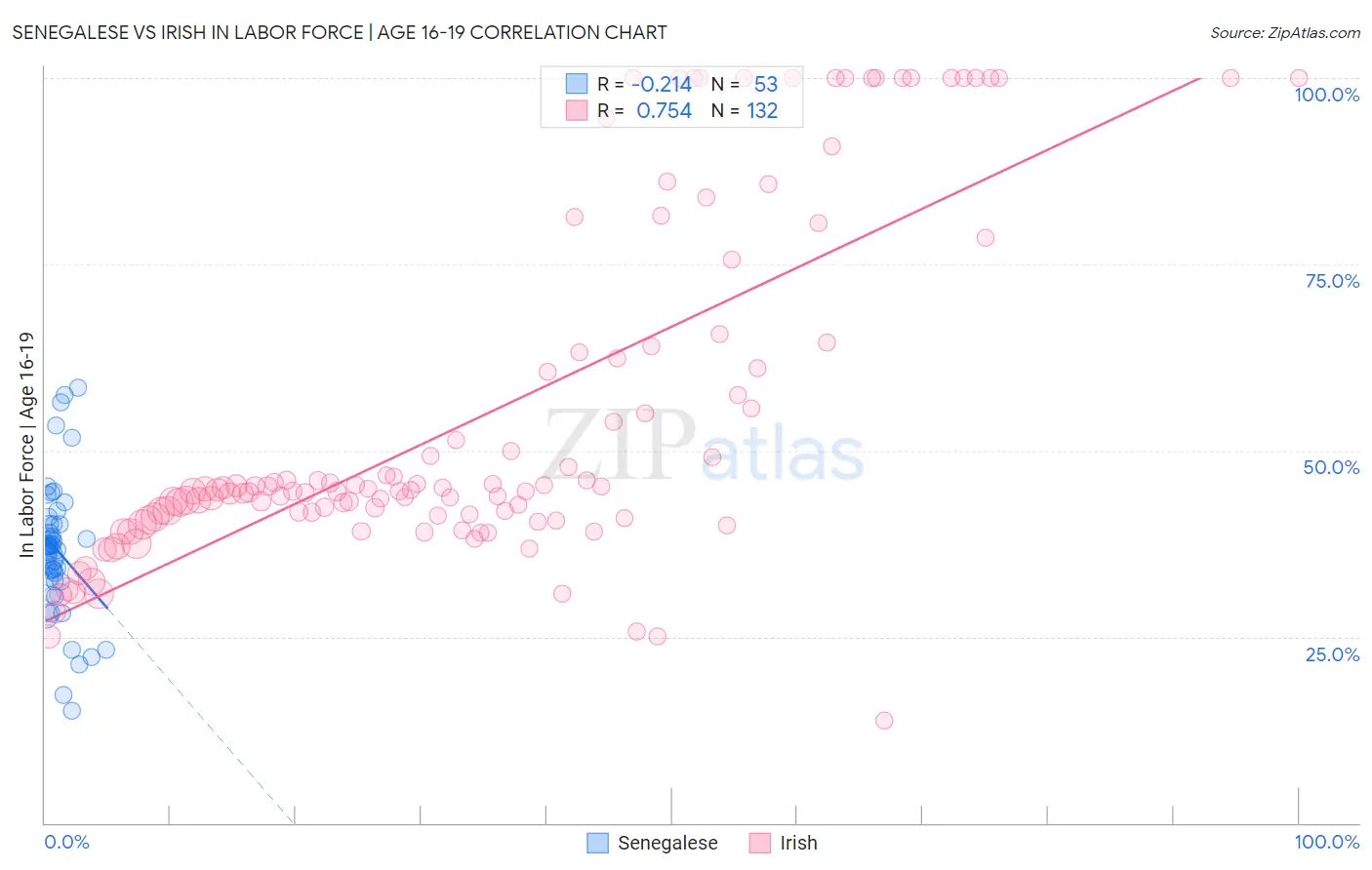 Senegalese vs Irish In Labor Force | Age 16-19