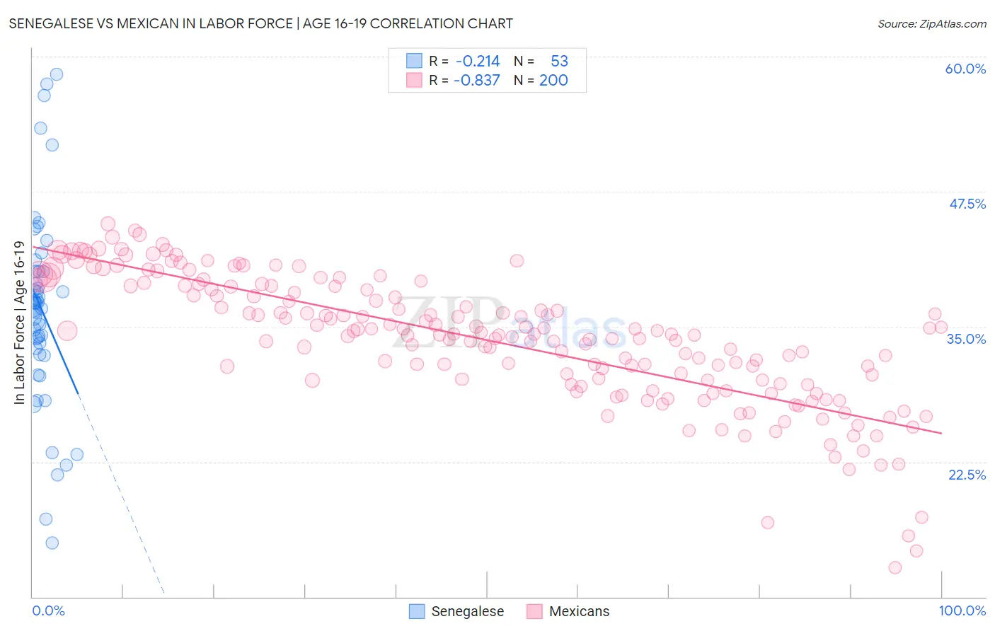 Senegalese vs Mexican In Labor Force | Age 16-19