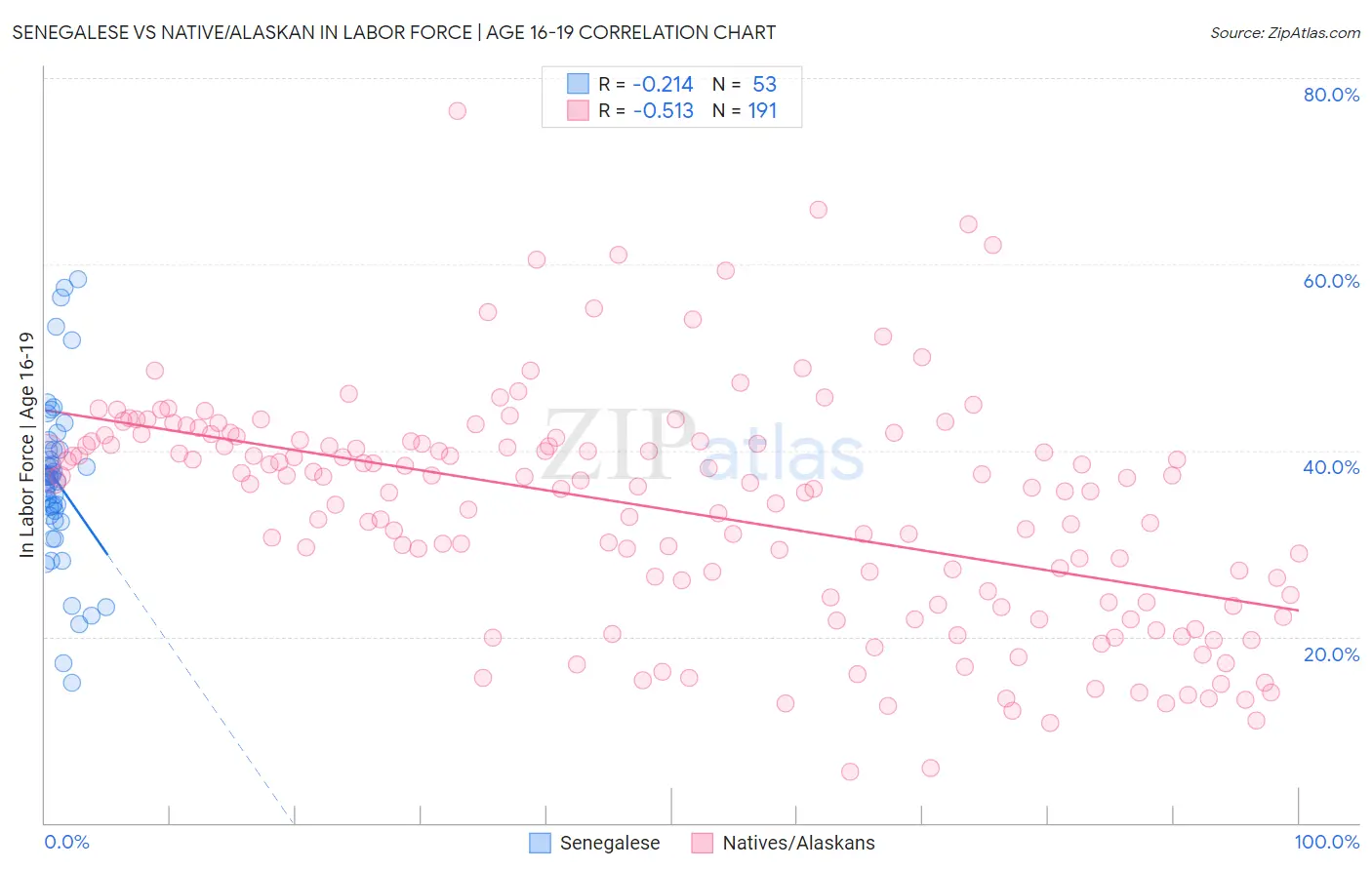 Senegalese vs Native/Alaskan In Labor Force | Age 16-19