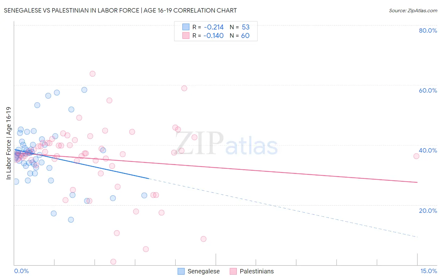 Senegalese vs Palestinian In Labor Force | Age 16-19