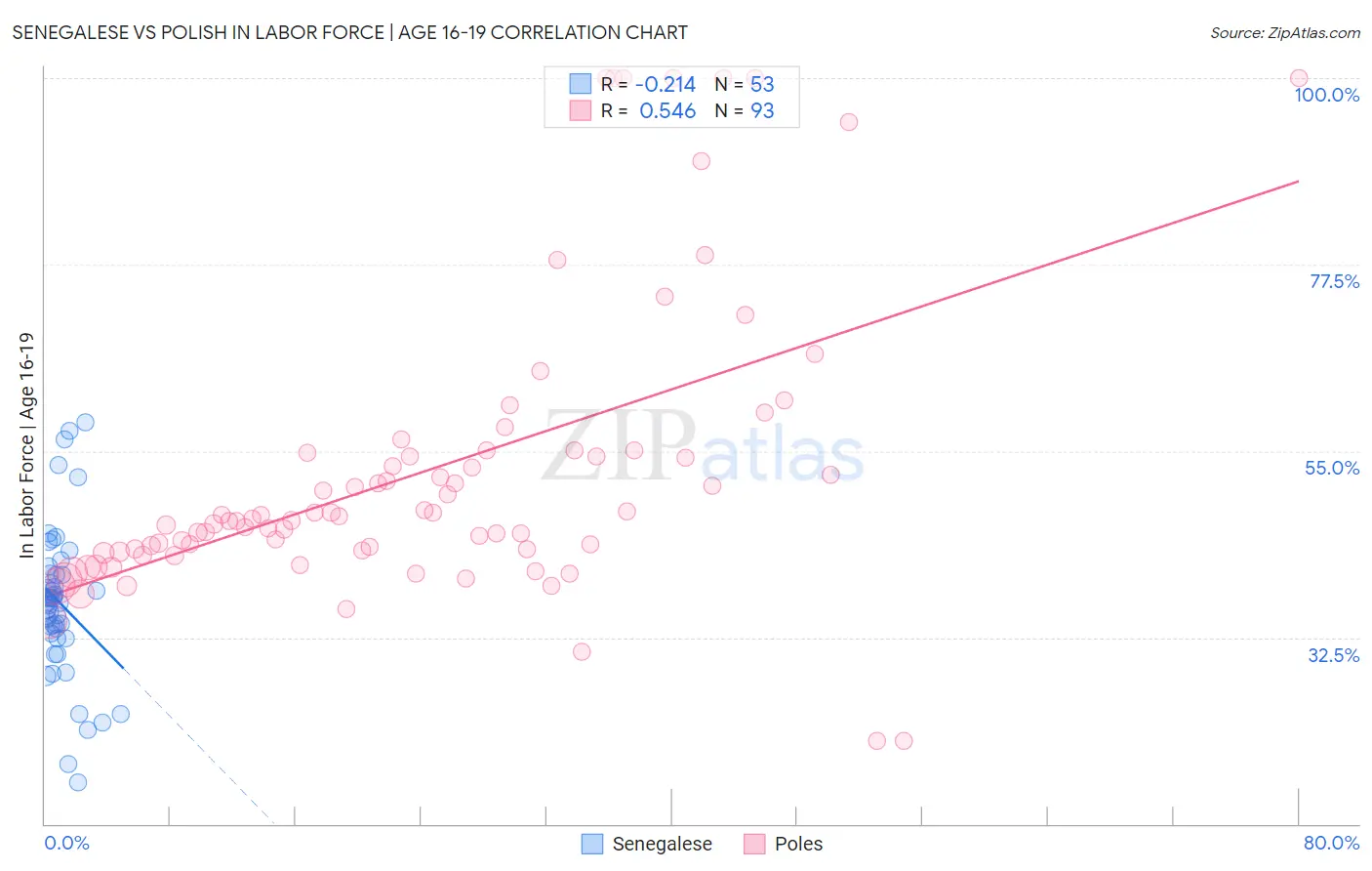 Senegalese vs Polish In Labor Force | Age 16-19